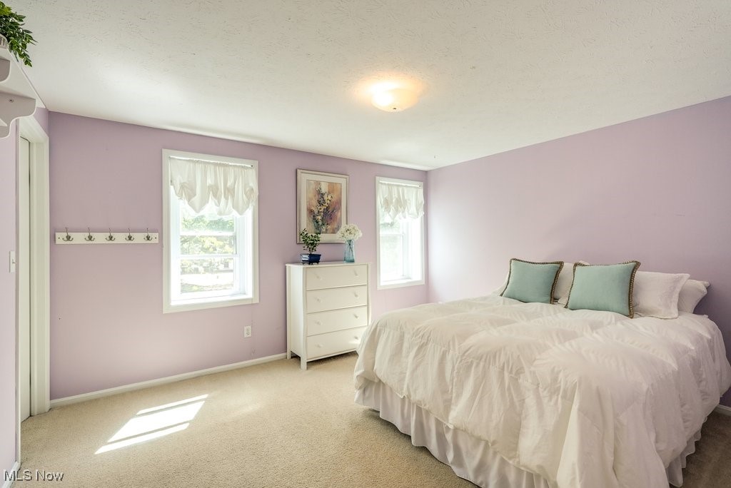 139 Elm Court, Chagrin Falls, Ohio image 28