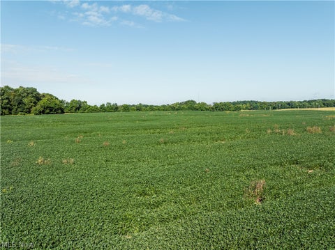 Vacant Land For Sale - Perry Road<br/> Centerburg, OH 43011