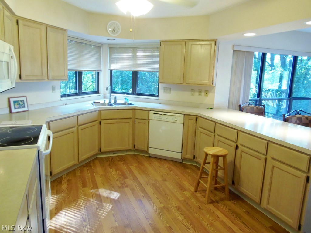 Forest Cove Condo - Residential