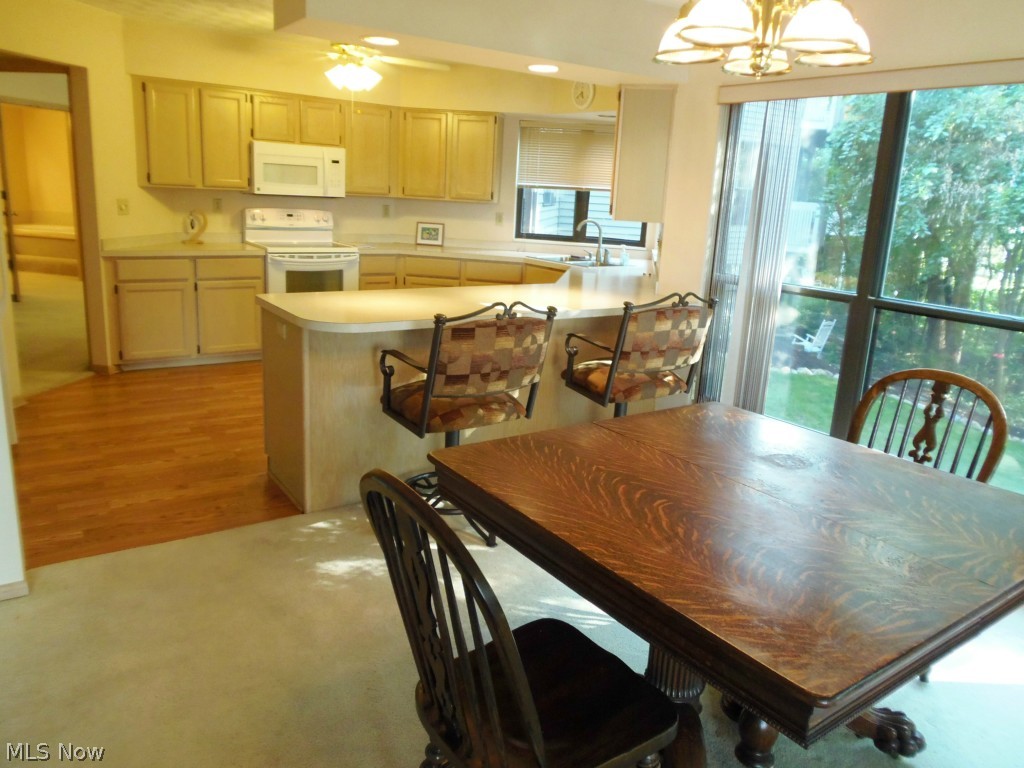 Forest Cove Condo - Residential