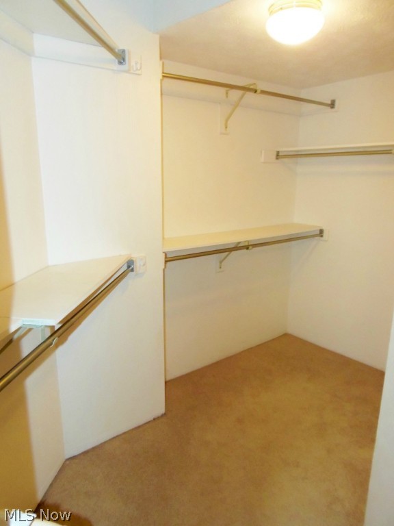 Forest Cove Condo - Residential