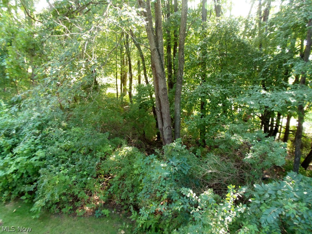 Forest Cove Condo - Residential