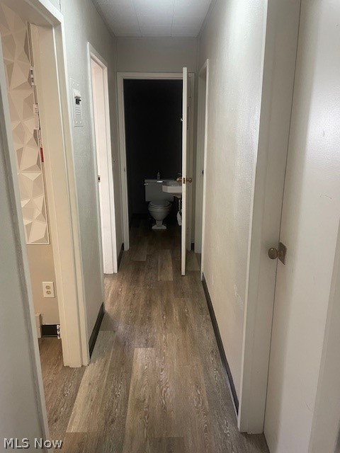 F W Sears Brooklyn Heights Allotm - Commercial Lease