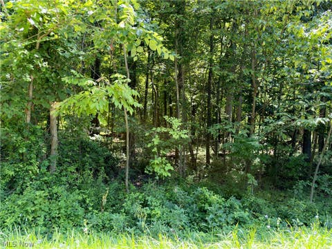 Tiny photo for 48091 N Ridge Road, Amherst, OH 44001 (MLS # 5232193)