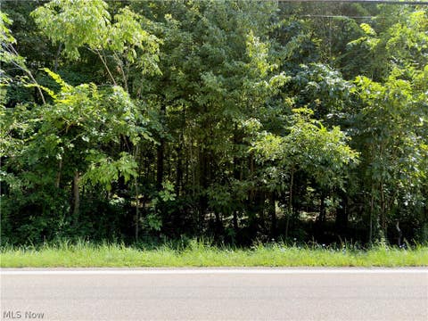 Tiny photo for 48091 N Ridge Road, Amherst, OH 44001 (MLS # 5232193)
