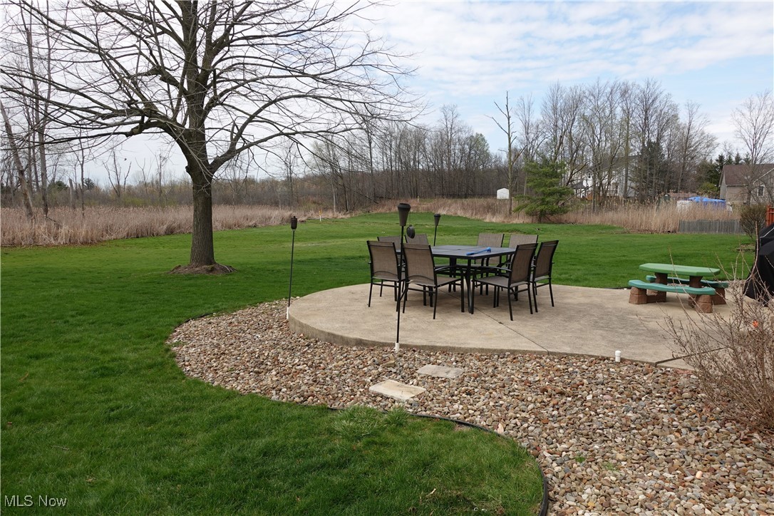 1167 Hillview Way, Medina, Ohio image 4