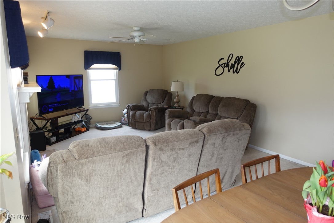 1167 Hillview Way, Medina, Ohio image 10