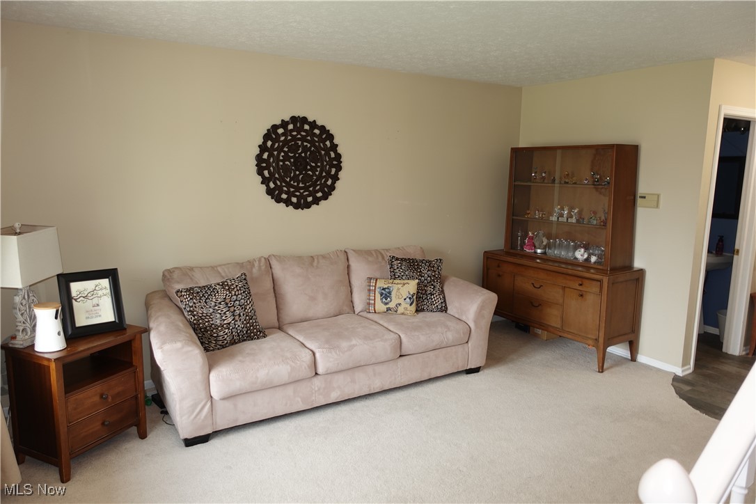 1167 Hillview Way, Medina, Ohio image 12