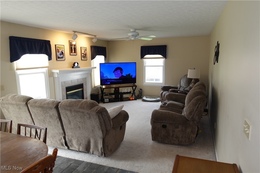 1167 Hillview Way, Medina, Ohio image 9