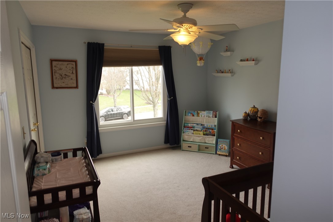 1167 Hillview Way, Medina, Ohio image 21