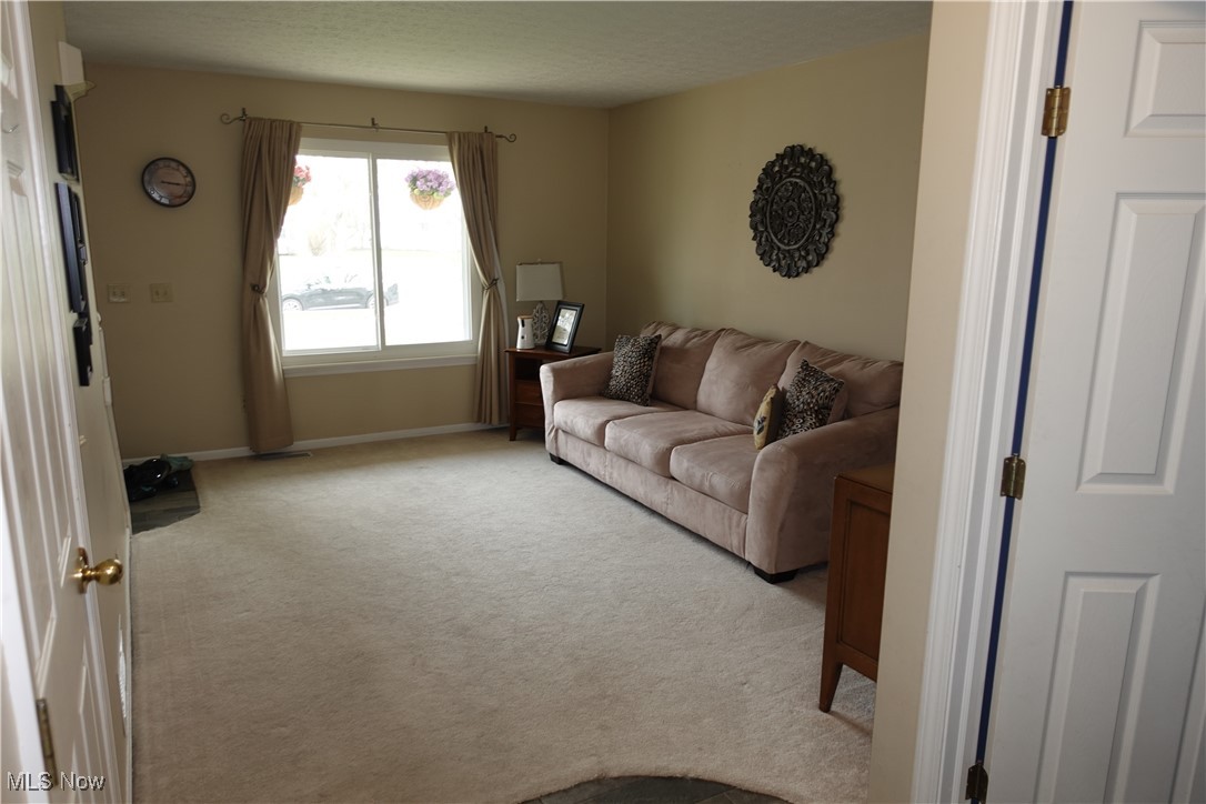 1167 Hillview Way, Medina, Ohio image 11