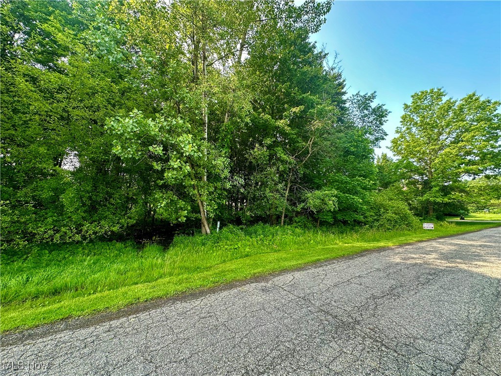 Powder Mill Run 01 - Land