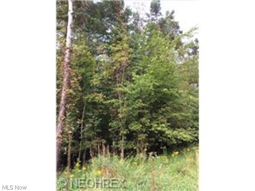 5 acre wooded lot*