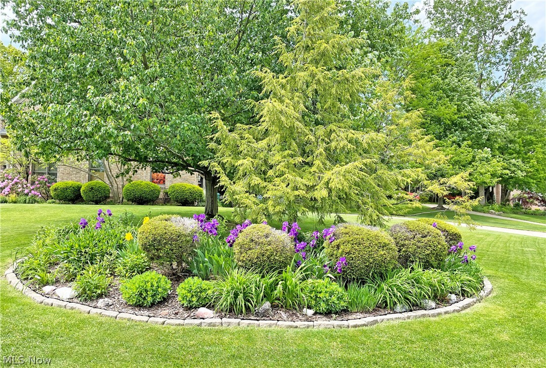 Bob O Link - Residential