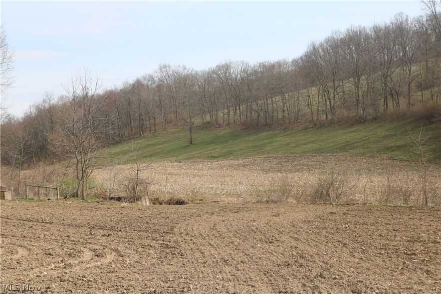 This tract has it all, great hunting, nice timber, mineral rights and easy access to thousands of acres of public hunting! Own your dream hunting setup here with this secluded tract that butts up to public hunting on two sides.. Mineral rights go with this one as well and according to seller free gas if you decide to build a cabin or home....(subject to lease on record) The views, the white oak scattered throughout the property and with a corn field on it as well you have your built in food plot..Walk this property and be amazed..