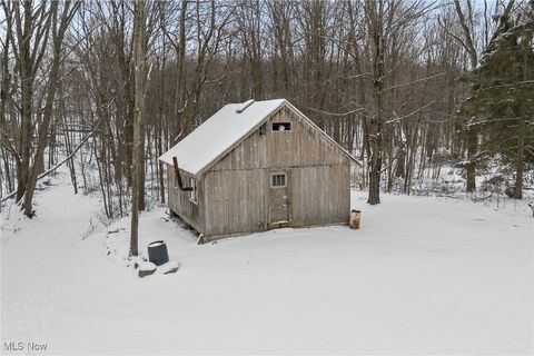 Tiny photo for 310 Township Road 902, Polk, OH 44866 (MLS # 5179365)