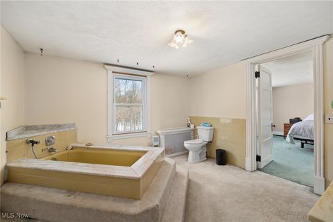 Tiny photo for 310 Township Road 902, Polk, OH 44866 (MLS # 5179365)