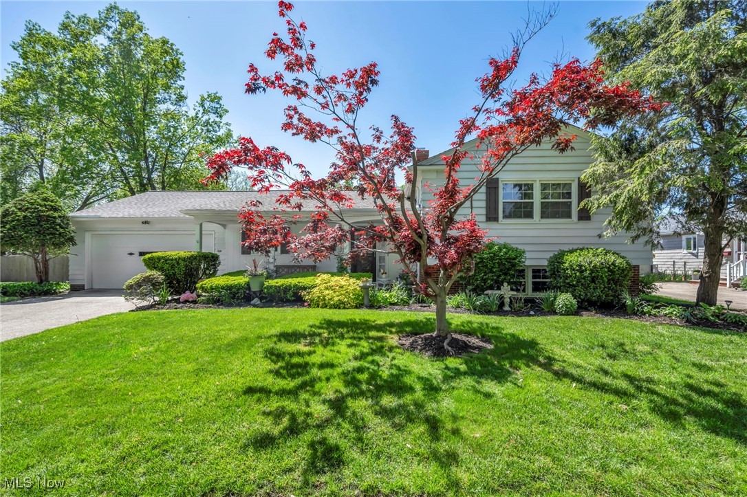 50 Luikart Drive, Euclid, Ohio image 1