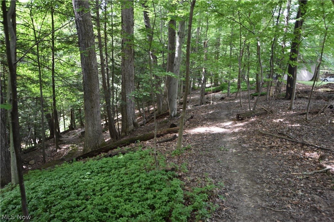 Cohasset Realty Co Et Al - Residential