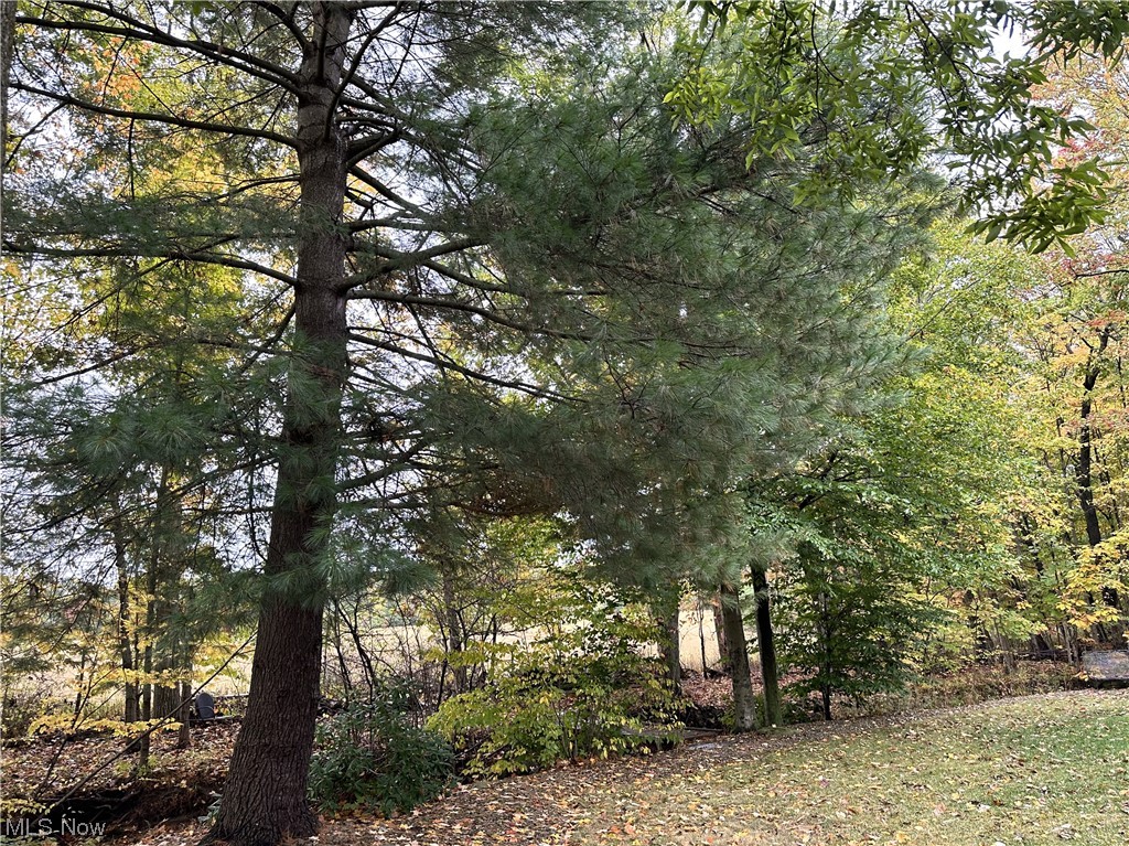 Towerview - Residential