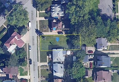 Vacant Land For Sale - 229 E 151st Street<br/> Cleveland, OH 44110