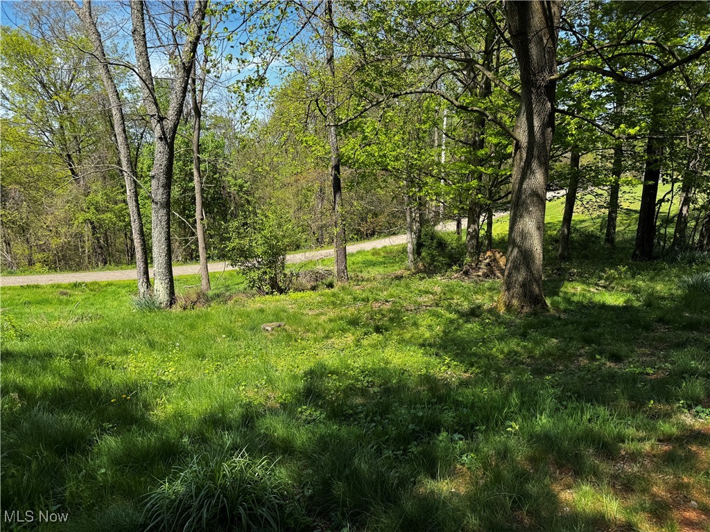 72220 E Sharon Road, Bridgeport, Ohio image 11