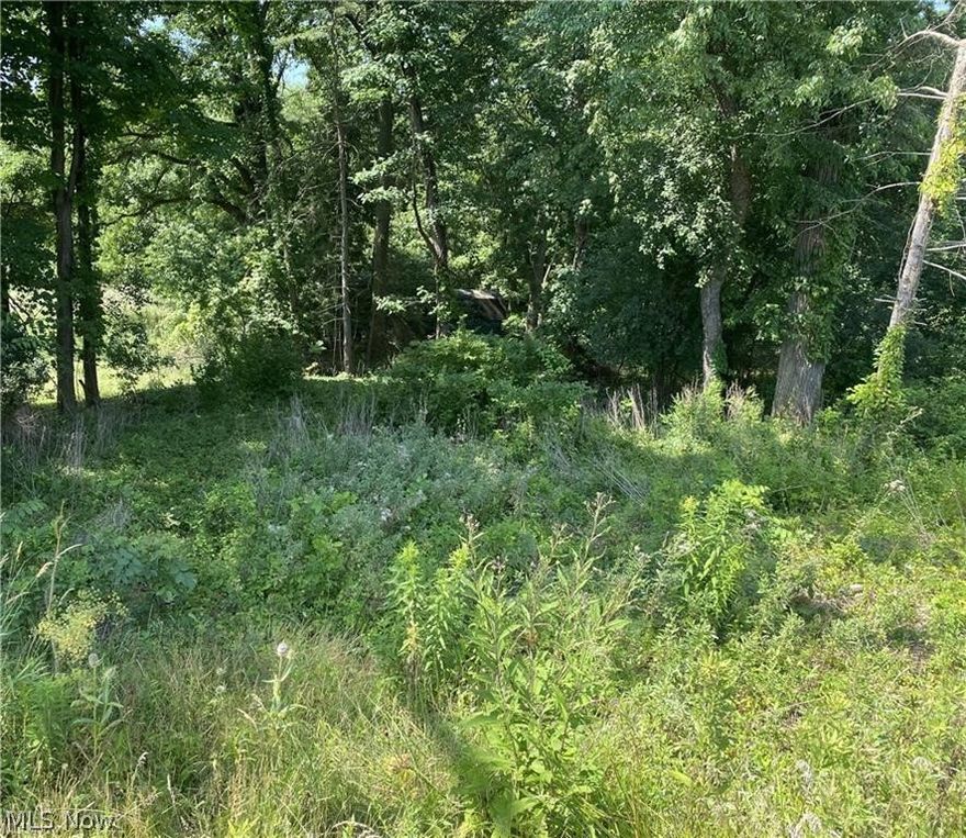Build the home of your dreams on this lot located in Jackson Twp in the desirable Jackson Local School District. Conveniently located just minutes from Belden Village, schools, shopping, highways and restaurants. There are 2 storage sheets on the property and lot has a slope which will make it great to built a walk out basement. Water, sewer, and electricity are available at the street. No restrictions on builder, so contact your favorite builder and get started today on your new home.