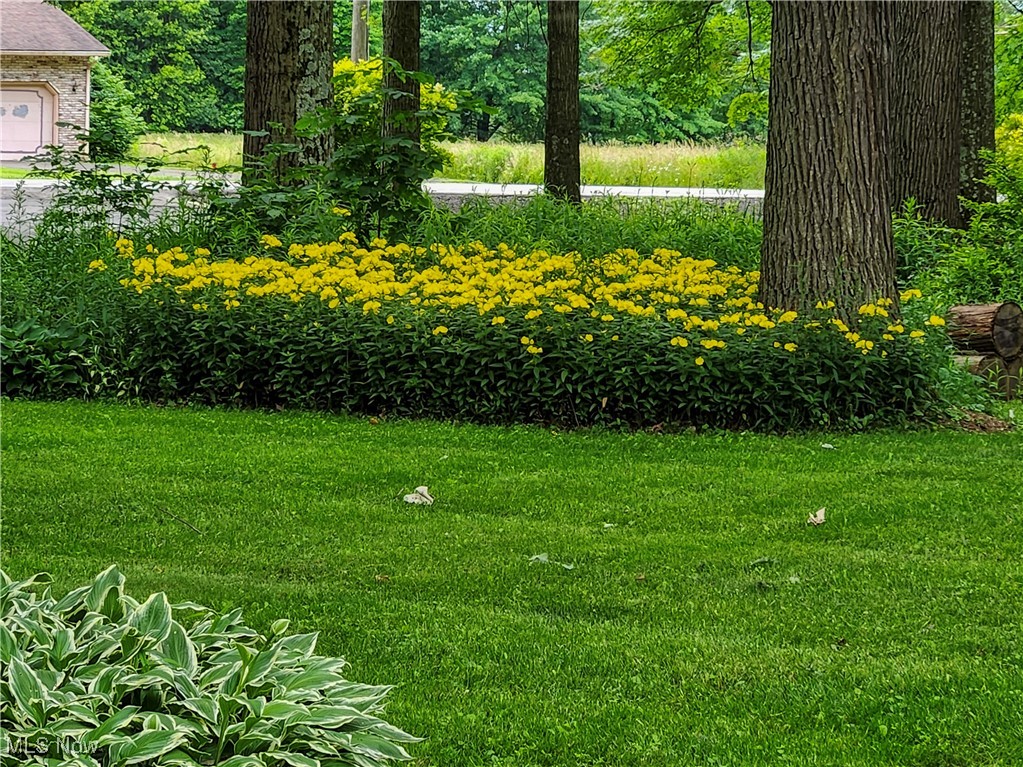 Crawford - Residential