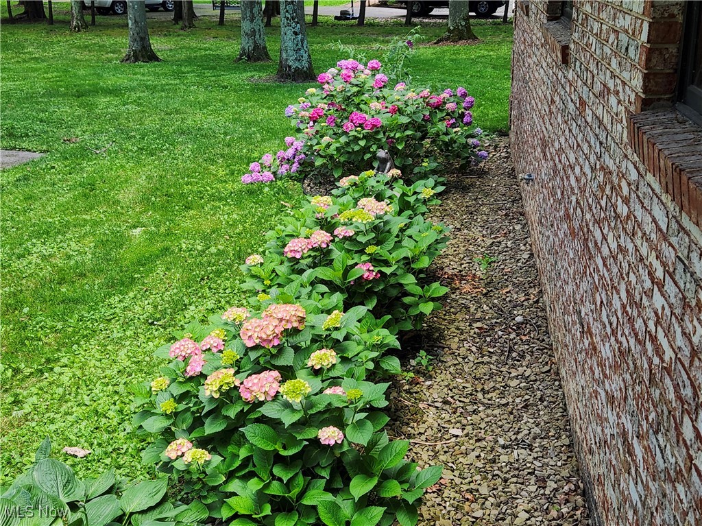 Crawford - Residential