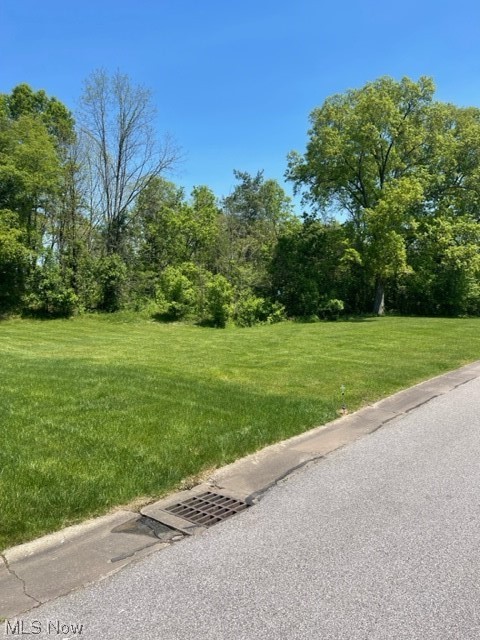 Photo 4 of 5 of lOT 112 Woodridge Drive land