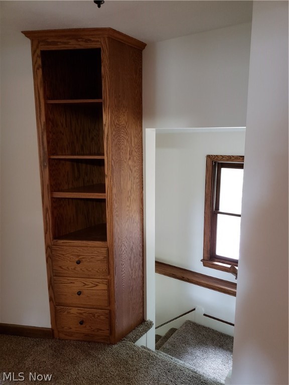 Merriman Hills Allotment - Residential