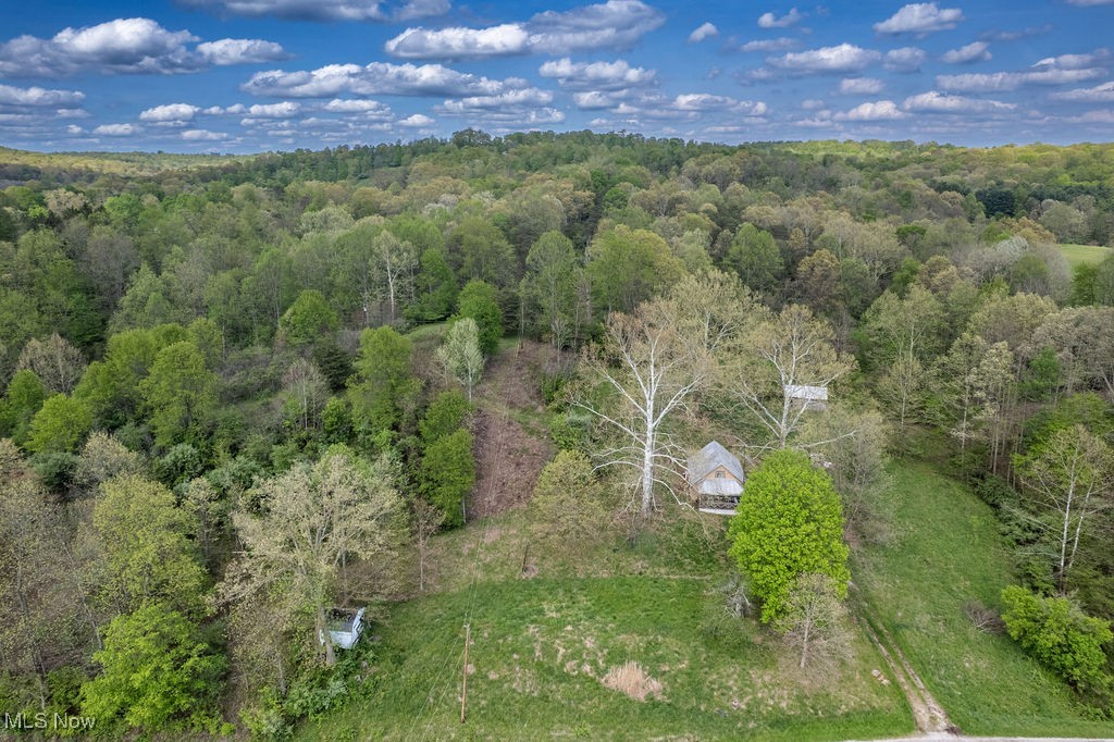 5081 Wadesville Road, Belleville, West Virginia image 4