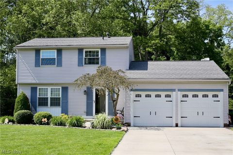 Homes For Sale - 9625 Brayes Manor Drive<br/> Mentor, OH 44060