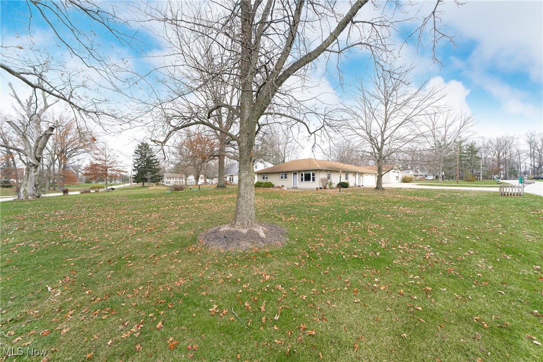 11919 Robson Road, Grafton, Ohio image 32