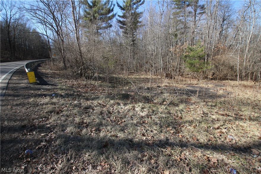 Located along OH-45 in Columbiana County outside Lisbon, this 18.51 +/- acre property offers a manageable and versatile tract suited for hunting, recreation, or a potential future build site. With over 650 feet of convenient road frontage and a mix of terrain and cover, this property provides accessibility while still maintaining a private setting for outdoor use.

Areas of mixed hardwoods are complemented by pockets of thicker growth that provide bedding cover and browse. Natural topography adds to the property's usability and appeal. Gentle changes in elevation, along with subtle funnels and travel corridors, help direct wildlife movement across the tract. These features can offer multiple stand locations for both archery and firearm seasons. The property shows the potential for further improvement through habitat management practices such as small food plots, edge feathering, or selective clearing.

With direct access from OH-45, the property is easy to reach year-round, whether for a quick evening hunt or a weekend getaway. The road frontage also opens the door for a potential cabin or home site, subject to buyer verification of local zoning and permitting requirements. Electric service is available in the area, which may simplify future development plans.

This property is located just off Routes 11 and 30 putting it within easy driving distance of several towns and modern amenities, while still offering a rural setting that supports a variety of outdoor activities. In addition to hunting, the acreage could be used for hiking, camping, ATV riding or simply enjoying time outdoors with family and friends.

Whether you are looking for an entry-level hunting property, a recreational retreat, or a tract with future building potential, this 18.51-acre parcel offers a practical and well-balanced opportunity in a desirable area of eastern Ohio. Call today to learn more about this opportunity before it's gone, it won't last long!