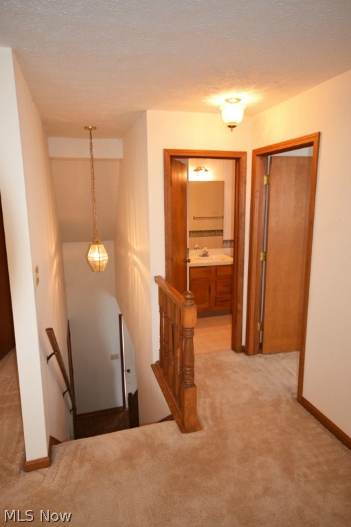 Silver Maple Condo - Residential