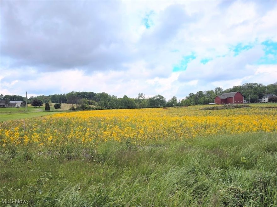 Prime 6.832 acre building site in Fredericktown Local School District just off SR 13.  Site was approved for well and septic by County. Electric meter installed by power company.  Culvert has been installed and driveway prep started.  Wood sign with street number beside driveway.