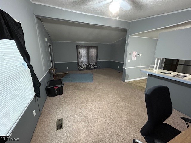 Painesville On The Lake - Residential