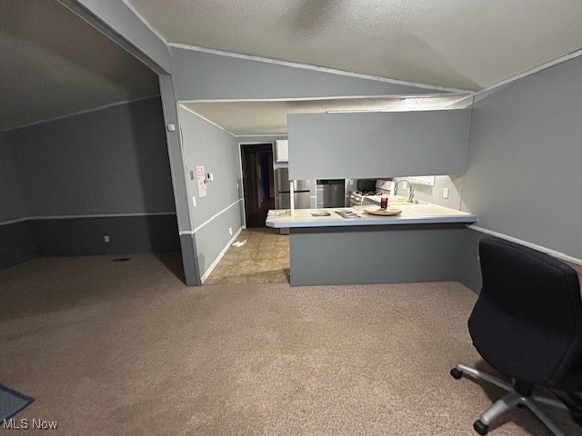 Painesville On The Lake - Residential