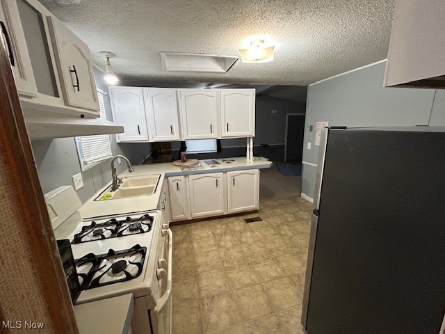 Painesville On The Lake - Residential