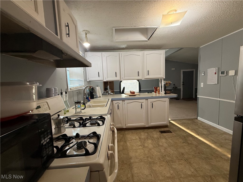 Painesville On The Lake - Residential