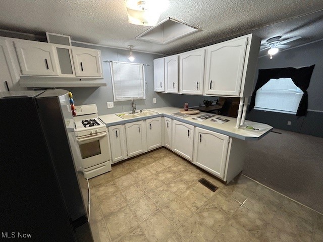 Painesville On The Lake - Residential