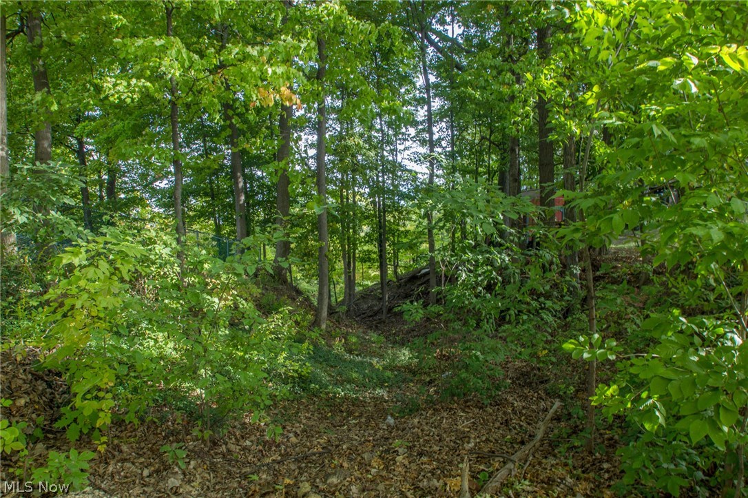 Black River 03 - Residential