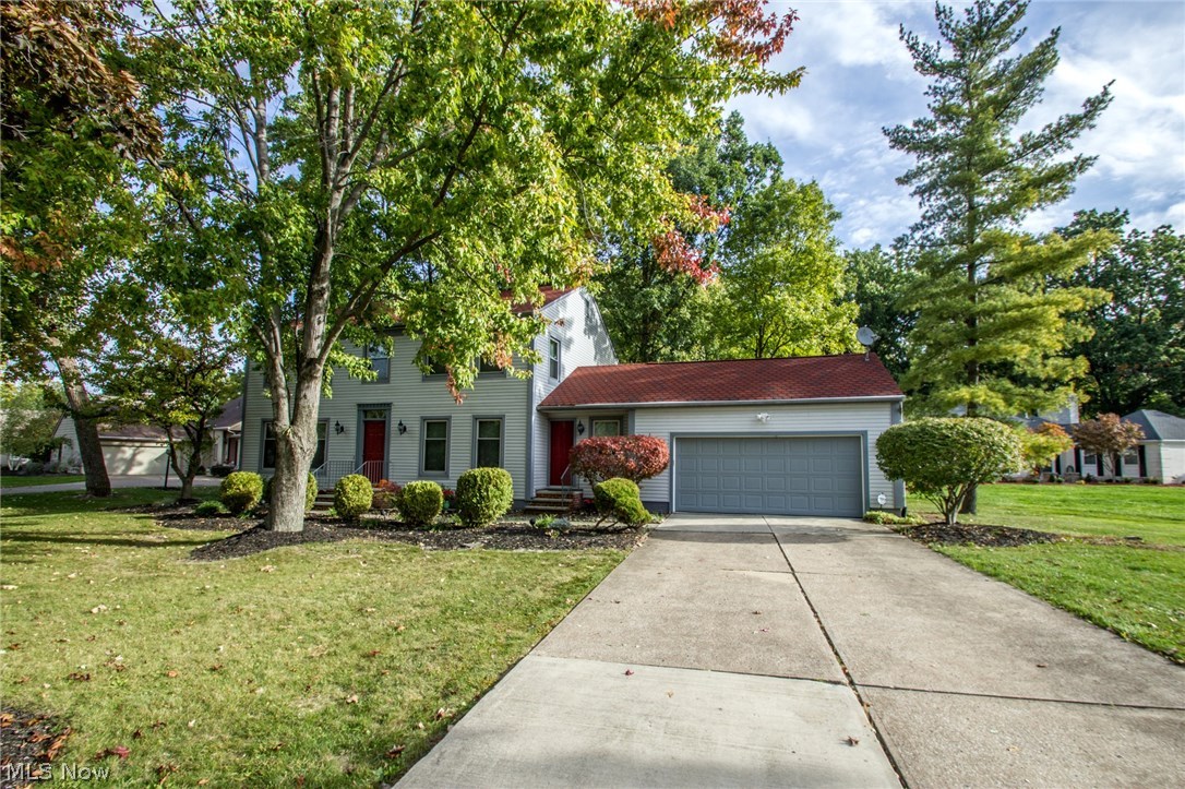 Black River 03 - Residential