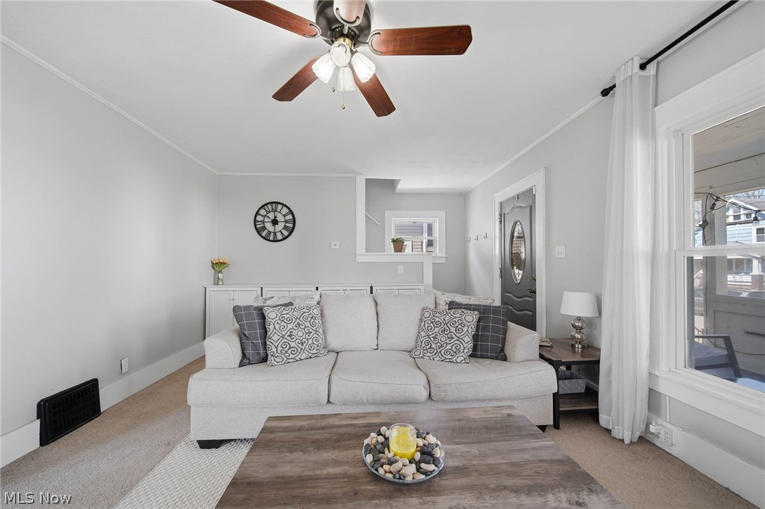 Big Falls - Residential