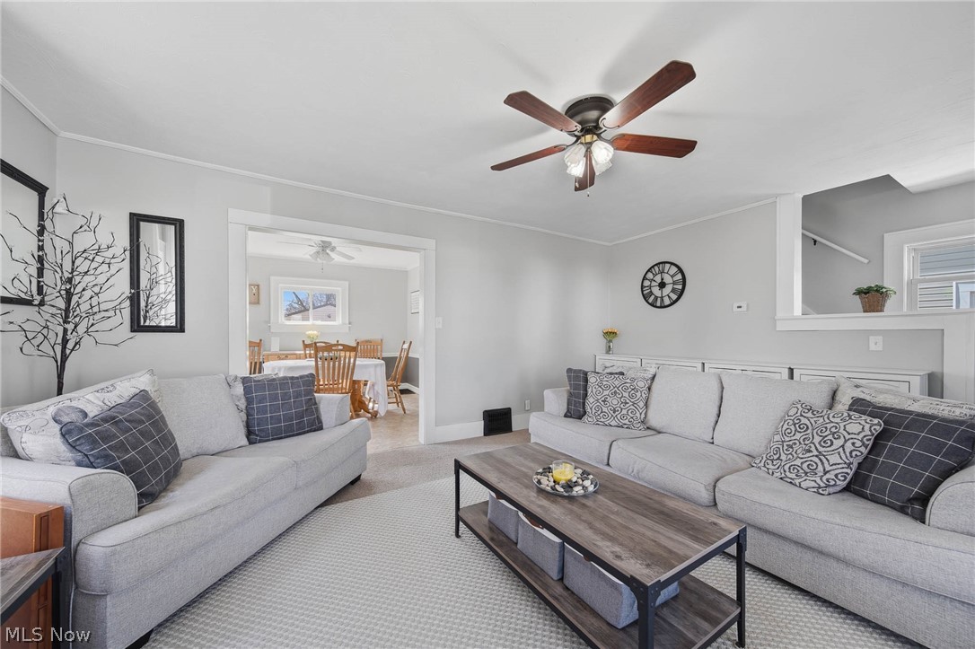 Big Falls - Residential