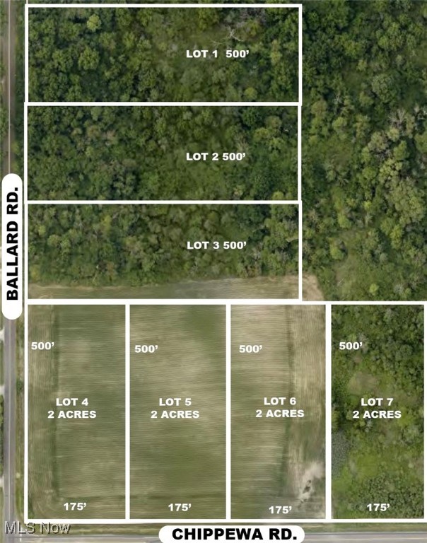 Lot #3 Ballash Road, Chippewa Lake, Ohio image 1