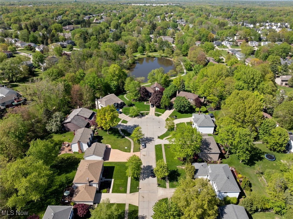 18113 Winchester Court, Strongsville, Ohio image 49