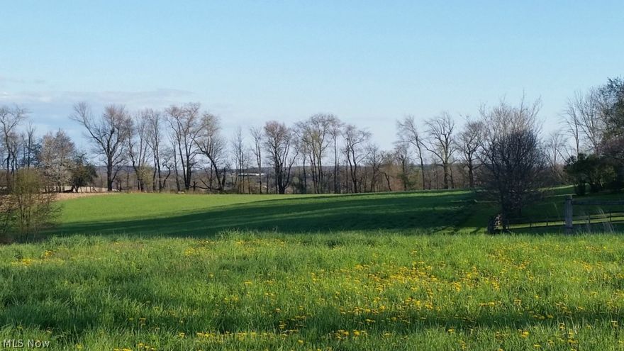 This beautiful 6.02 acre property in Stark County is perfect for you to build!  The property currently has access from Barrs Street, however, you would need septic and well installed. Residential electric is at the road.  The property is bordered by some new construction and farm land. There are signs of whitetail deer that travel across this property and in the area. Located in the Tuslaw school district, State Route 30 and State Route 21 are nearby.  Mineral Rights do not transfer with this sale. Annual taxes are approximately $917.44. Feel free to drive by and have a look or call today to schedule your private showing.