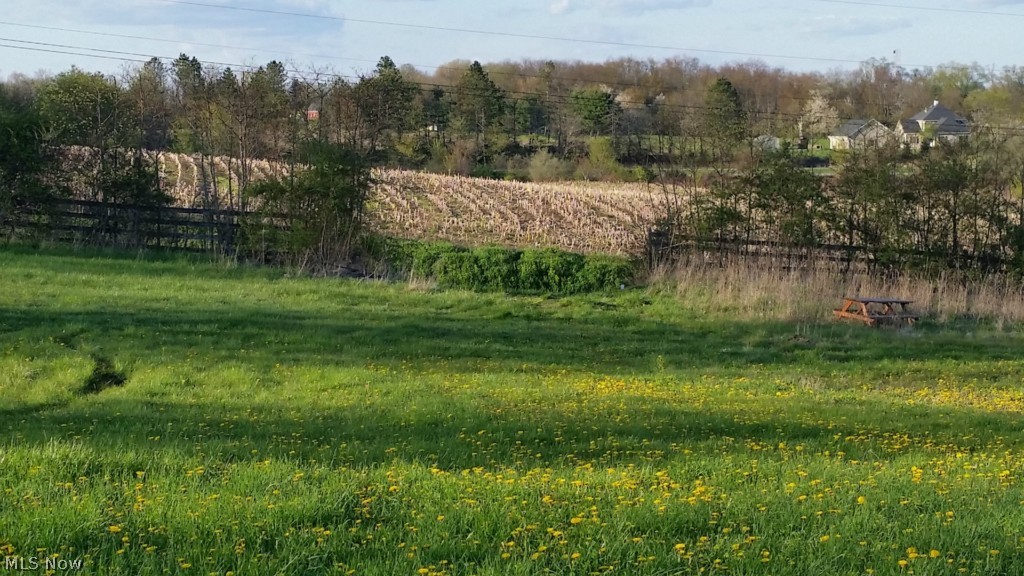 Theresa M Shultz - Land